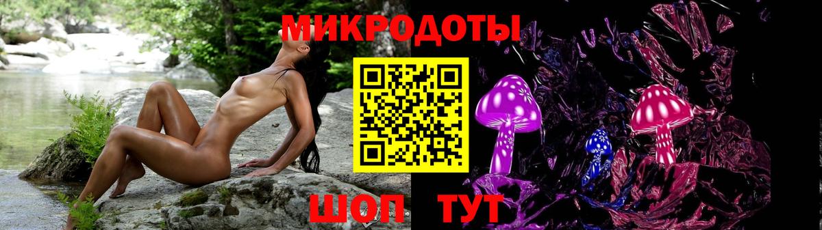 Галлюциногенные грибы Psilocybe  Вход с VPN  Гай 