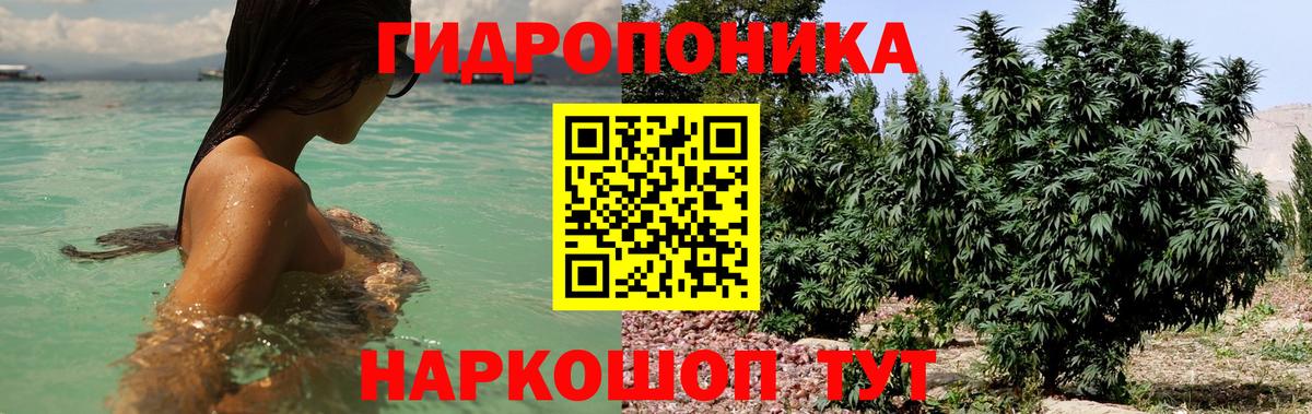 Бошки марихуана планчик  Бошки Шишки ГИДРОПОН  Бошки Шишки Amnesia  Марихуана SATIVA & INDICA  Гай  Вход с VPN 